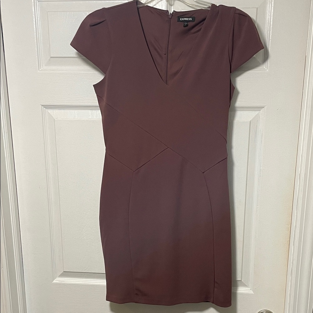 Express Women's Chocolate Cap Sleeve Mini Dress
